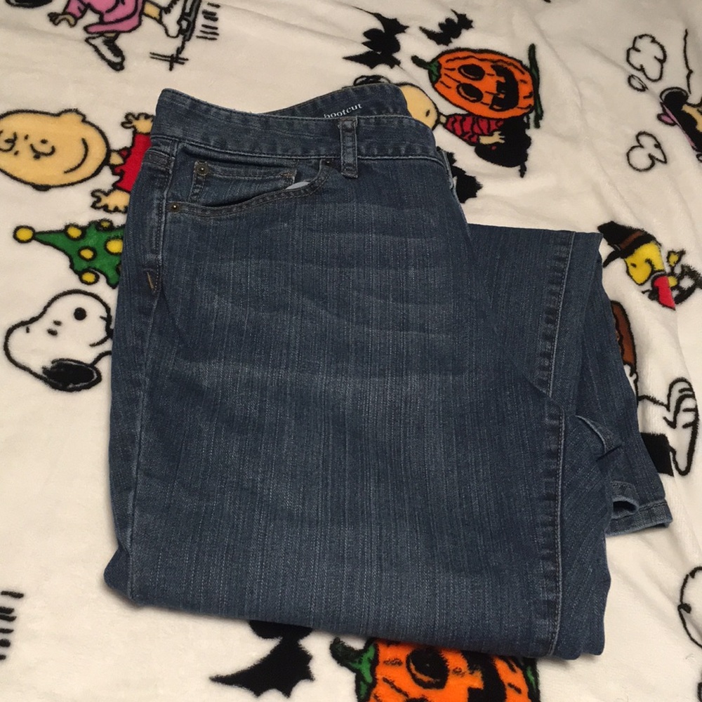 Loft Curvy Bootcut Jeans 14